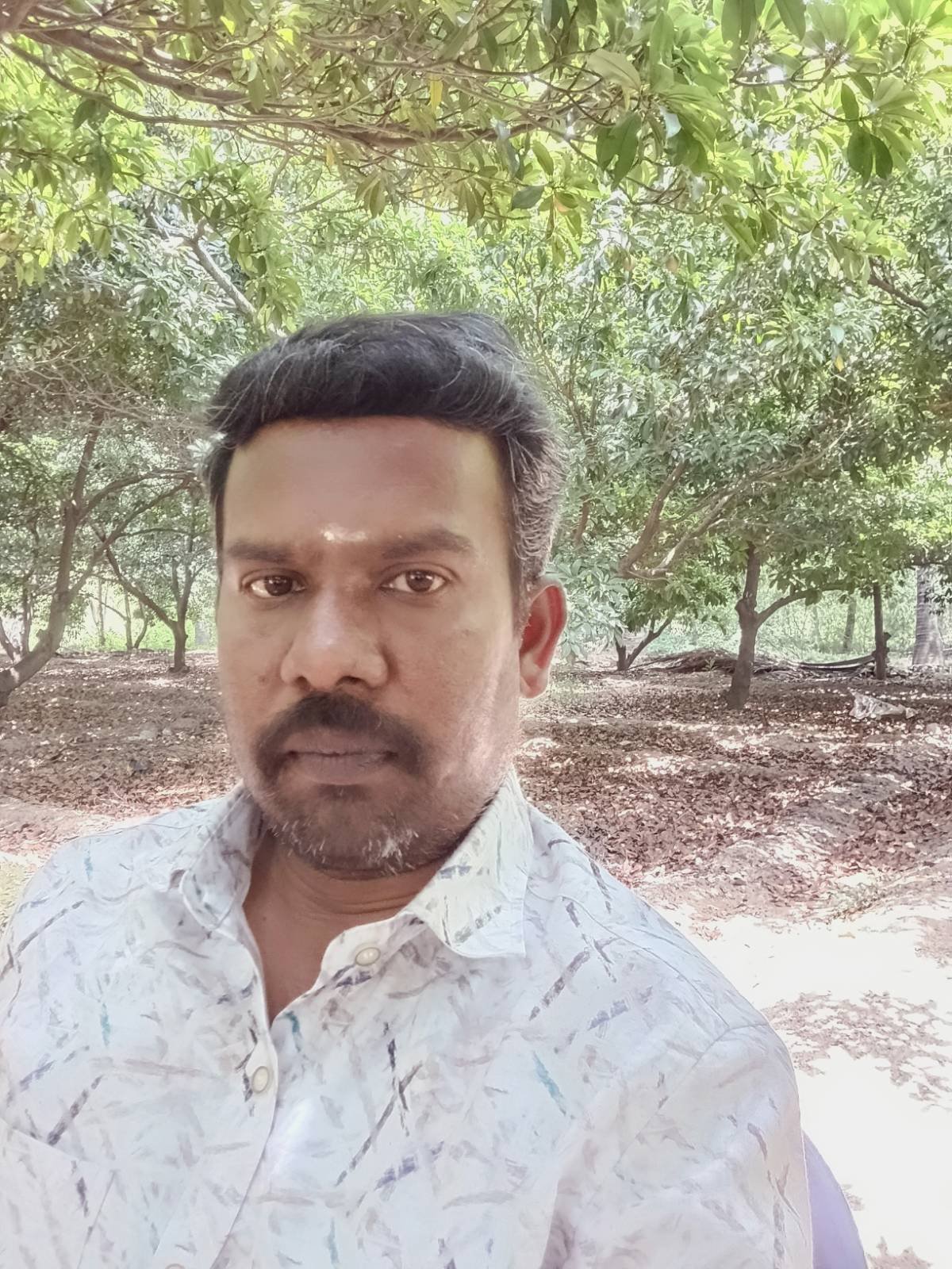 Murugesh N